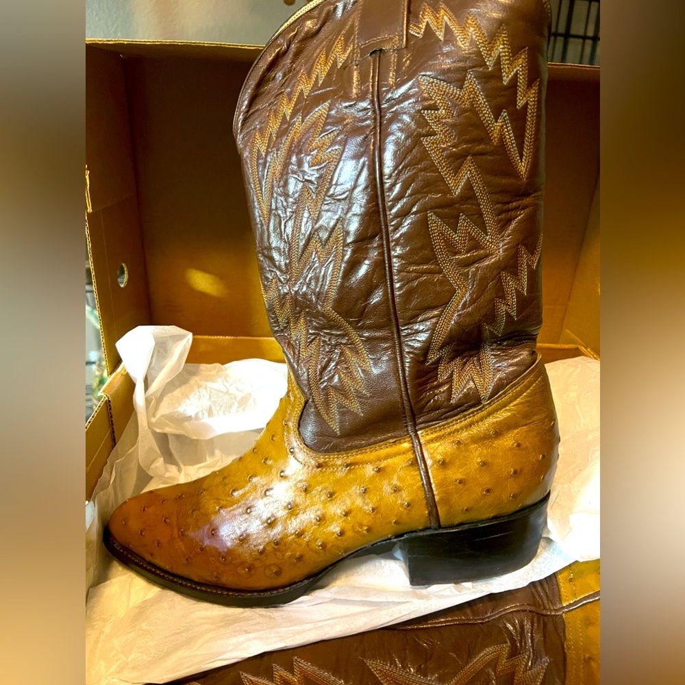 David Eden ostrich quill leather men’s western boots.